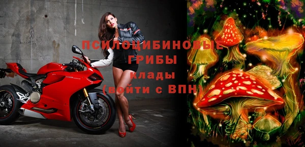 соль курить ск Алексеевка