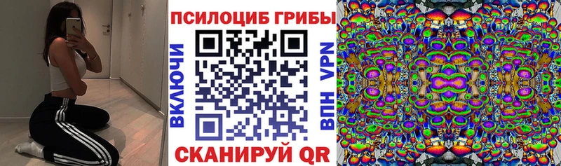 Галлюциногенные грибы прущие грибы  сколько стоит  Камызяк 