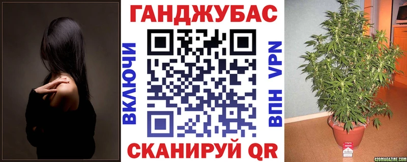 Бошки марихуана MAZAR  omg рабочий сайт  Камызяк 